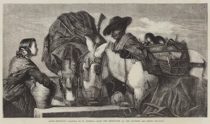 Asses Drinking